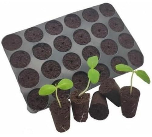 Grow-Win Plug Seeder Plateau de semis Pret à l'emploi : 24 mottes, semer tomates, piments, utilisable Facilement en intérieur. Réussite des semis sans terreau de semis et sans Presse mottes.