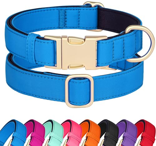 Didog Hundehalsband aus Nylon, weich gepolstert, strapazierfähiges Hundehalsband mit Schnellverschluss-Metallschnalle, leichtes und atmungsaktives Hunde Halsband für kleine Hunde,Blau,S