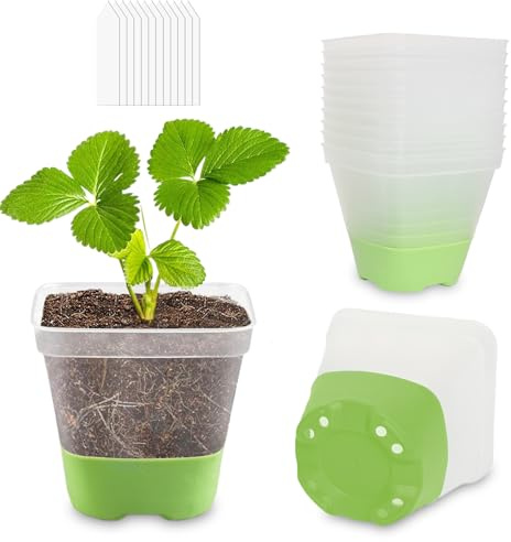 CNNIK 12 Stück 8cm Anzuchttöpfe Transparent mit Silikonboden Blumentopf Plastik Quadrat Setzlinge Anzucht Töpfe Pflanzgefäße für die Pflanzenaufzucht für Innen Außenbereich Grün