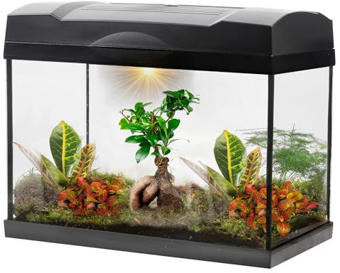 vdvelde.com - Bonsai Terrarium Groot - Bonsai Mega Terrarium - Ecosysteem in Glas - • 1 bonsai + 5 mini planten• Afmetingen: 39x21x31 cm• Verlichting op netstroom