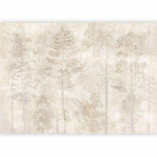 murando PREMIUM Papier peint Foret 200x140 cm Décoration Murale XXL Poster Tableaux Muraux Tapisserie Photo Arbres Brume Aspect Béton b-A-10318-a-a