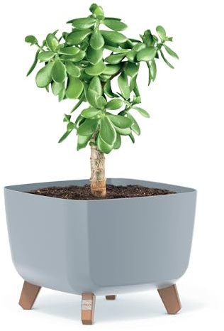 EDANTI Pot de fleurs rectangulaire avec pieds - Pour l'intérieur et l'extérieur - Pour fleurs, jardin, balcon, terrasse, maison - Gris - 29 cm