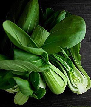 300 Pak Choi White Stem Cabbage Seeds Non GMO Open Fertilised Organic : Seeds Only