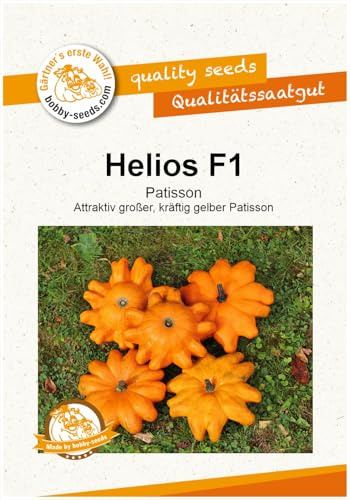 Helios F1 Kürbissamen von Bobby-Seeds, Portion