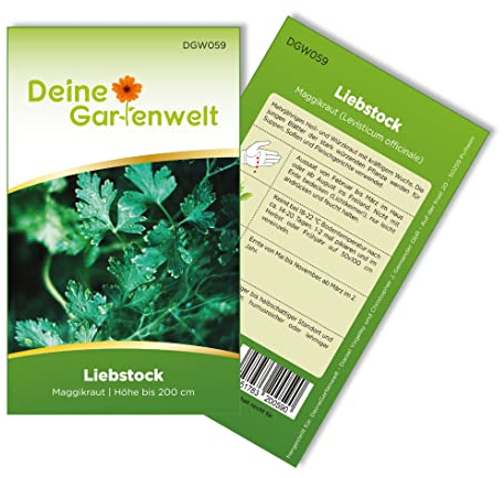 Liebstock Maggikraut Samen - Levisticum officinale - Liebstocksamen - Kräutersamen - Saatgut für 30 Pflanzen