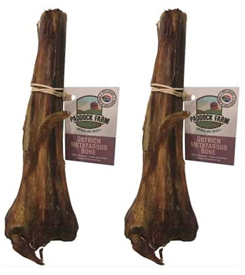 Antos Antler Ostrich Metatarsus Bones Dog Chew Pack of 2