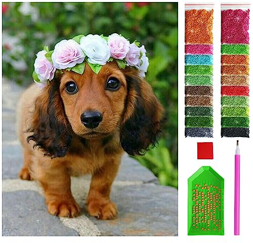 ARTULIO Diamond Painting Set Hund in einem Kranz – 5D Diamant Painting Bilder Kinder 30x40 cm mit Diamond Painting Zubehör für Kinder und Erwachsene - Crystal Art