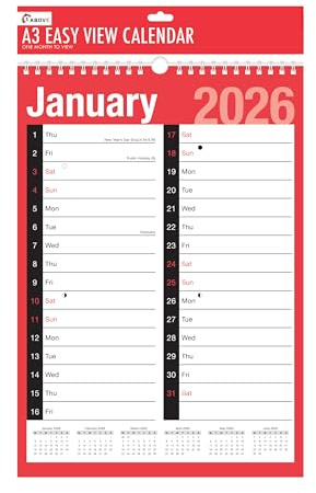 Kalender 2025, Planer und persönliche Organizer, Wandplaner, Feiertage und wichtige Termine, Wandplaner mit Spiralbindung für Zuhause, Büro, Schule (A3 Monatsansicht)