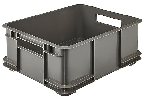 keeeper Contenedor de almacenamiento con asas, Euro-Box L, Procyclen, 20,5 l, Bruno Eco Line, Eco-Gris