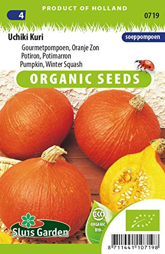 Kürbis Uchiki Kuri Gemüsesamen pro Gramm - Samen aus biologischem Anbau pro Gramm - 2,75 g - Samen pro Gramm: +/-13