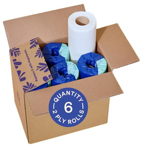 Repurpose 100% Bamboo Paper Towels, Tree Free Paper Towels, Plastic Free Packaging, 6 Rolls, 75 Sheets per Roll, FSC Certified