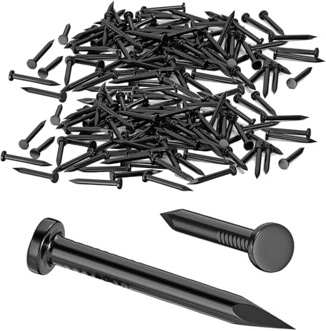Jiavlyx 550 Stück Nägel, 20mm Stahlnägel, Nagel Holzarbeiten, Bilderrahmen Nagel, Dachpappennägel, Bildernägel, Wandnägel, Holznägel, Für Betonwände Holzarbeiten und Außen Verwenden
