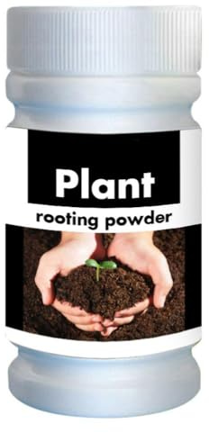 Generic Rooting Pulver Växtgödsel Root Growth Booster 50 G Aminosyra Pulver för Sticklingar Plantor Transplantation med Polysackarid Näringsbas för Snabb Rotning Förbättrad (50 g)