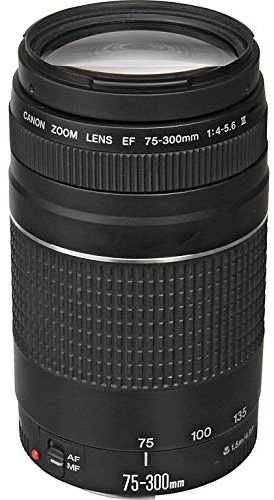 Canon EF 75-300mm f/4-5.6 III Telephoto Zoom Lens for Canon SLR Cameras (Renewed)