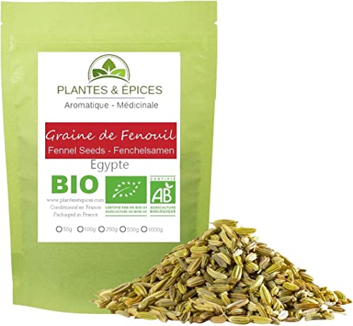 Graines de Fenouil Entières 500g Qualité 100% Naturel - Sachet Fraîcheur Hermétique Refermable (500g)