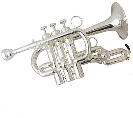 Bb/A Piccolo Trompete versilberte Messingtrompeten mit Mundstücketui Musikinstrumente Trompete Edelstahlkolben Trompeten Anfänger (Color : Silver Plated)