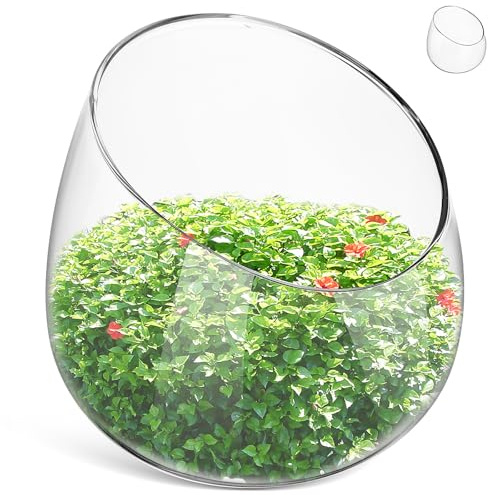 DIYEAH Florero de Vidrio Transparente Inclinado para Suculentas, Maceta Pequeña de 12 Cm, Recipiente Decorativo para Plantas de Interior y Terrarios, Adecuado para Hogar y Oficina