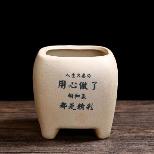 XIALON Maceta de cerámica con personalidad creativa para el hogar Wenzhu pequeña maceta de bonsái, Jardineras, Cubremacetas