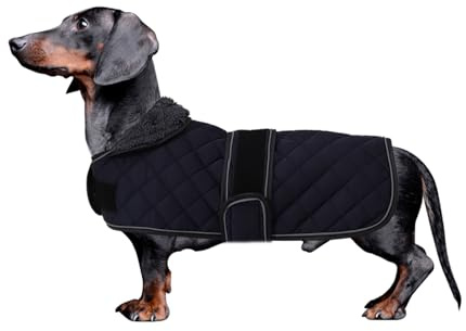 MOREZI Hundemantel Winter für Dackel - Wasserdichter Hunde Pullover mit Wolle Futter & Verstellbaren Gurten, Warmer Wintermantel für Kleine Hunde im Freien-Dunkelblau-M