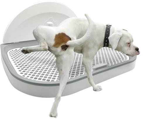 Tfwadmx Pee Pad Holder Dog Potty Tray with Splash Guard & Center Post Mesh Training Toilet Potty Tray Puppy Pad Holder for Puppy and Small Size Dog (Grey, 22.4×17.7)