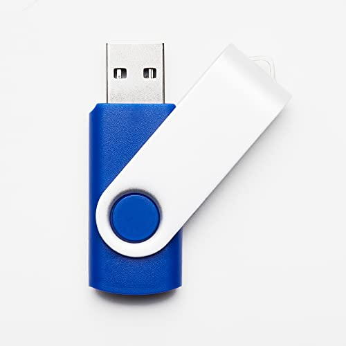 100 Stück Blau 1GB USB-Sticks USB 2.0 Swivel Design Flash Drive für die Datenspeicherung Großhandel Bulk (Blau, 1GB)