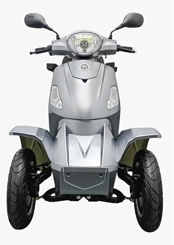 Vita Care 4000 Duo Li Seniorenmobil 2-Sitzer 4-Rad Elektromobil mit 1000 W & Wechselakku bis zu 100 km Reichweite (Light Grey, 60V/40Ah Li-Akku= bis zu 100 km Reichweite)