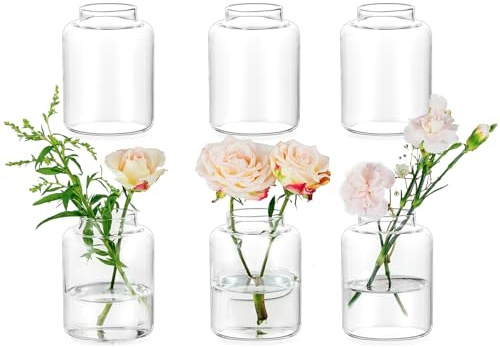 Glasseam Glas Vasen Set für Home: 6er Vase Klein für Haus Wohnzimmer Schlafzimmer Küche Esszimmer Tischdeko - Klar Blumenvase Modern Glasvasen Set für Hochzeit Tafelaufsätze Party Deko