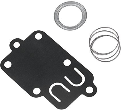 Kit de réparation de carburateur pour Briggs Stratton 270026 272538 272538s 272637 4157 5021 3 Thru 5 HP Motoculteur