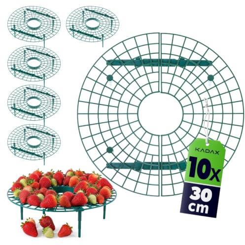 KADAX Supporti per fragole 30 cm, 10 pezzi, protezione per fragole, fragoliera in plastica, protezione per fragole, protezione contro le lumache per piante di fragole, griglia per fragole