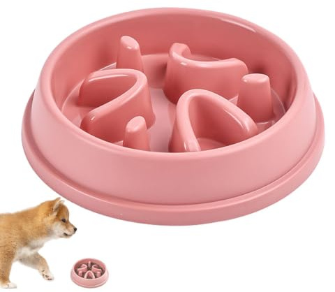 Gamelle pour Chien à Alimentation Lente, gamelles pour Chien à Alimentation | Bol d'alimentation lente anti-avalement po