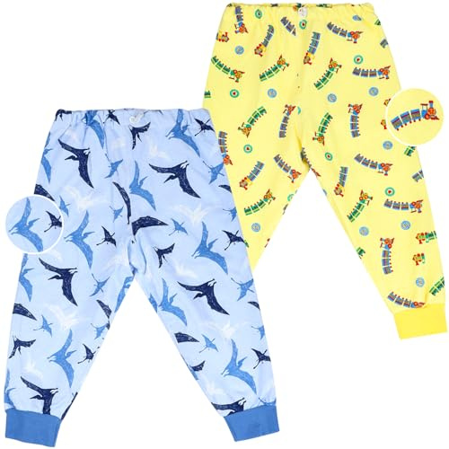 FLYISH DIRECT Culotte Apprentissage Propreté Garcon 2 Packs, Culotte de nuit Enfant Lavable, Jupe de Couche Imperméable Coton, Anti-fuite Jupe Apprentissage Propreté 3-5 ans, Train Pterosaur, M