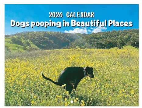 Mainiusi Dockande hundkalender 2026, rolig hundkalender 2026 hundar pooping på vackra platser, pooping dogs kalender 2026 djur kattande hundkalender 2026 (grön)