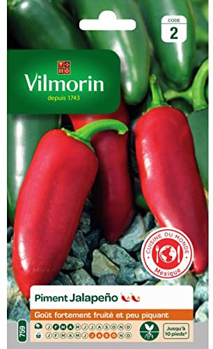Vilmorin - Sachet graines piment Jalapeño