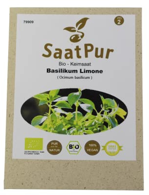 Bio Sprossen Samen Basilikum Limone - 100% Bio Keimsprossen - Microgreens mit hoher Keimkraft - Sprossensamen für Keimsieb - Lebensmittel Qualität
