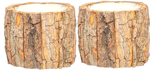 Cabilock Pots de Fleurs Design Créatif et Élégant Lot de 2 Résistants à Sécheresse en Bois Naturel pour Plantes Succulentes pour Bureau et Décoration Maison