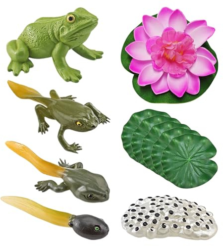 HDGSAFD Modelo de ciclo de vida de rana de 5 piezas con 1 modelo de hoja de loto y 1 modelo de flor de loto, juguete de ciclo de crecimiento de rana, modelo de animal de simulación, material educativo