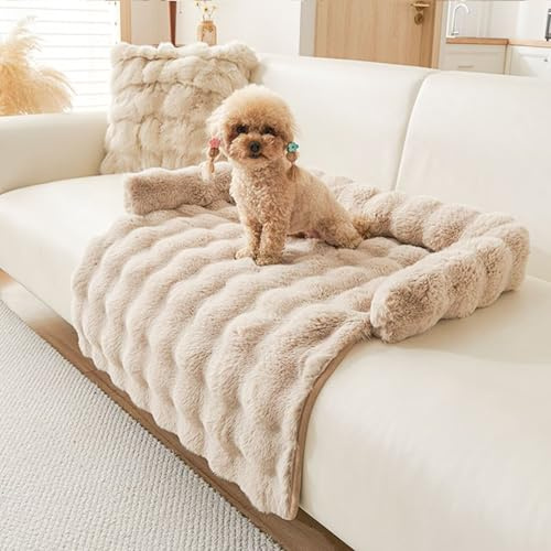 kuchenuten Hundebett Flauschig, Katzenbett, Hundedecke Sofa mit Rand, Waschbar Haustierbett, Hundebetten rutschfest, Katzensofa Katzennest für Katze Kleine Hunde, 75x75cm, Kaffee