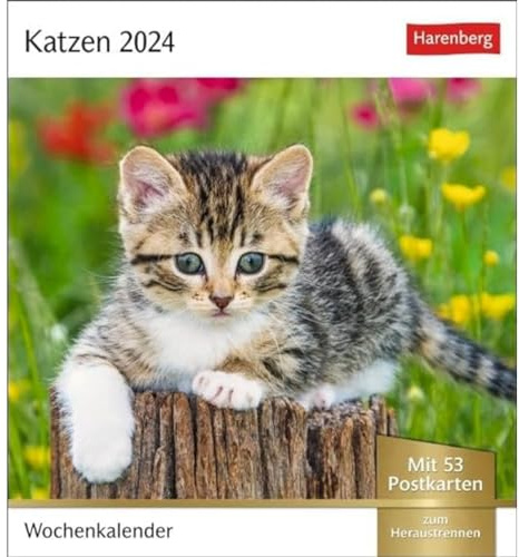 Katzen Postkartenkalender 2024. Jede Woche ein süßes Kätzchen im Postkarten-Fotokalender. Tischkalender für Katzenfans, mit 53 Postkarten zum Sammeln ... Aufhängen: Wochenkalender mit 53 Postkarten