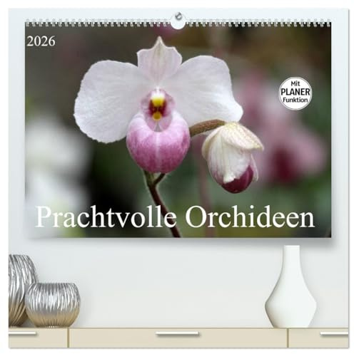 Prachtvolle Orchideen (hochwertiger Premium Wandkalender 2026 DIN A2 quer), Kunstdruck in Hochglanz: Tropische Schönheiten (CALVENDO Natur)