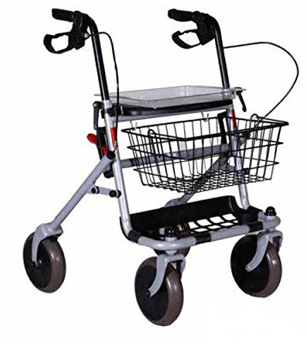 TERMIGEA Deambulatore, Rollator Pieghevole Per Anziani, Disabili E Malati, Sedile In Plastica Con Vassoio, Cestino Portaoggetti E Porta Bastone