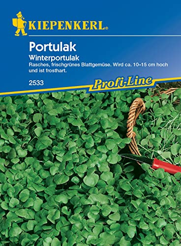 Kiepenkerl 2533 Portulak Winterportulak, fleischige leicht zugespitzte Blätter, auch für den Anbau im Gewächshaus