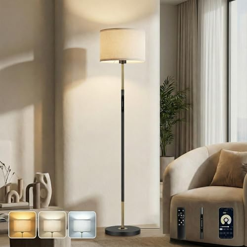 GOOGO Lampadaire sur Pied Salon avec Commande Tactile, Application et Télécommande, Lampe sur Pied de Salon avec 3 Températures de Couleur, Luminosité Réglable, Minuterie 1 Heure, Fonction Mémoire
