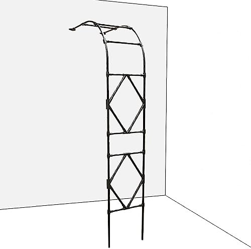BRANII Noir Metal Arche de Jardin, Demi-latérale Contre Le Mur Arceau à rosiers, Acier Arche pour Terrasse de Jardin Extérieur, Support Arche Plante Grimpante (Color : Nero, Size : 60x240cm)