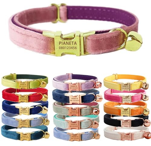 Katzenhalsband, personalisierbar mit Gravur und Glocke, Samt-Halsbänder für Welpen, Kätzchen, Rosa + goldfarbener Verschluss, Größe S (15,2-25,4 cm)