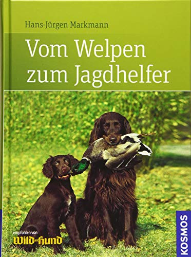 Vom Welpen zum Jagdhelfer