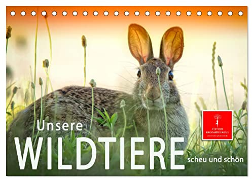 Unsere Wildtiere - scheu und schön (Tischkalender 2026 DIN A5 quer), CALVENDO Monatskalender