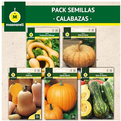 Mascarell Semillas, PACK SEMILLAS CALABAZAS, Kit Huerto en Casa. Fácil de Cultivar, Contiene 5 Variedades de Calabazas Sabrosas.