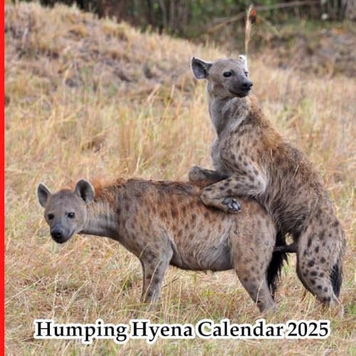 Humping Hyena Calendar 2025