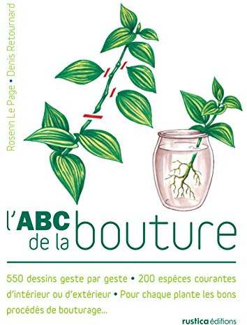 L'ABC de la bouture: 550 dessins geste par geste - 200 espèces courantes d'intérieur ou d'extérieur - Pour chaque plantes