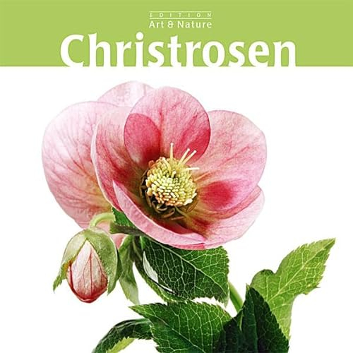 Christrosen